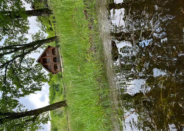Au Bord Du Lac III