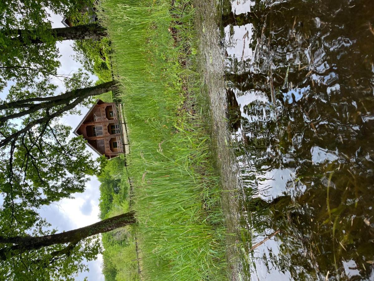 Au Bord Du Iii * Montigny-en-Morvan